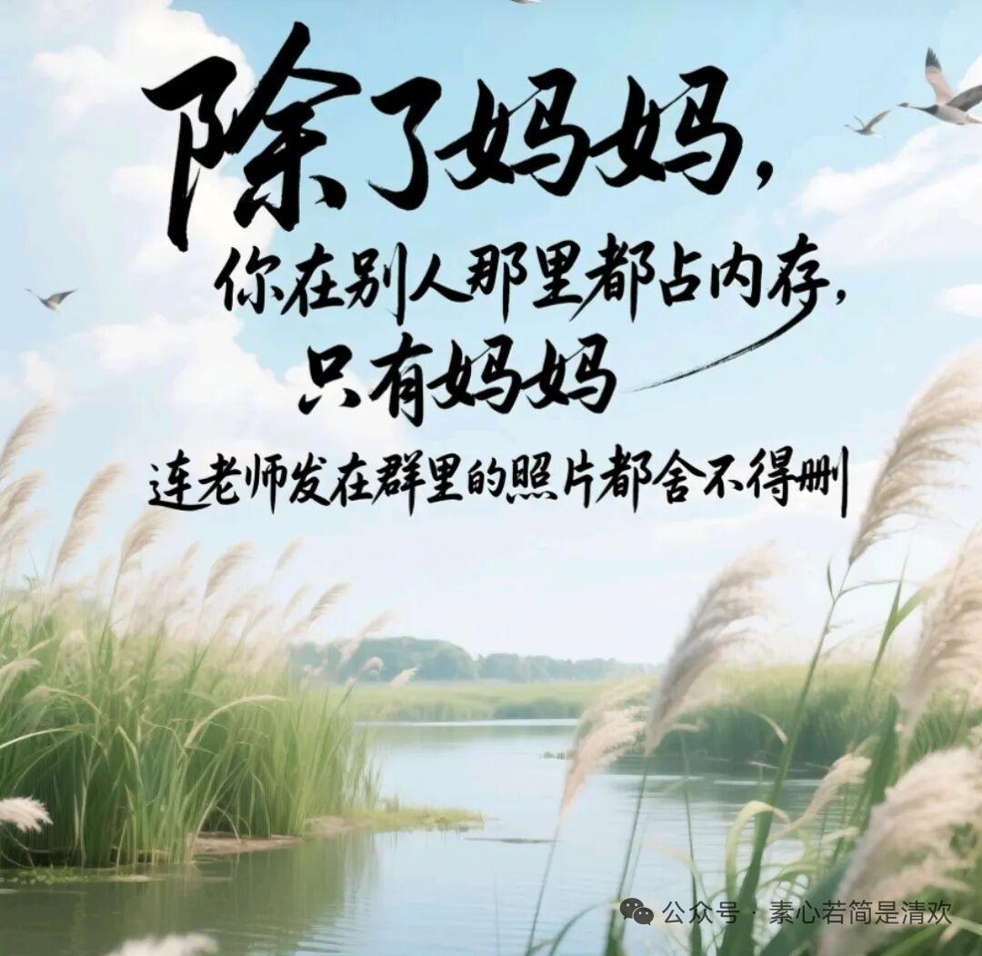 现在一到五月第二个星期日，朋友圈就满是康乃馨和祝福文案，大家都跟风过西方母亲节。