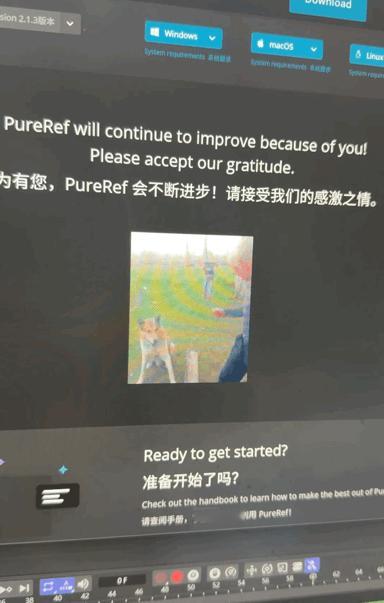 购买了一个软件 然后跳转到一个感谢界面 真可爱 