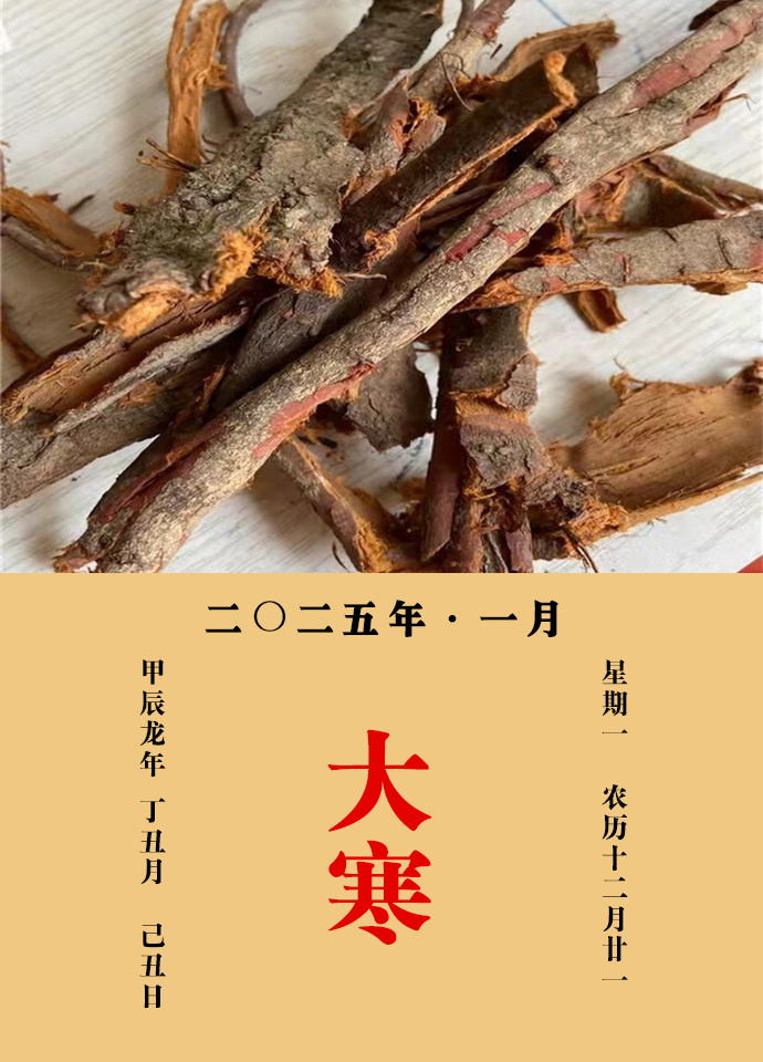每天一味中草药  李根白皮，味咸，性大寒，归心、肝、肾经。主治：为解热药，治消渴