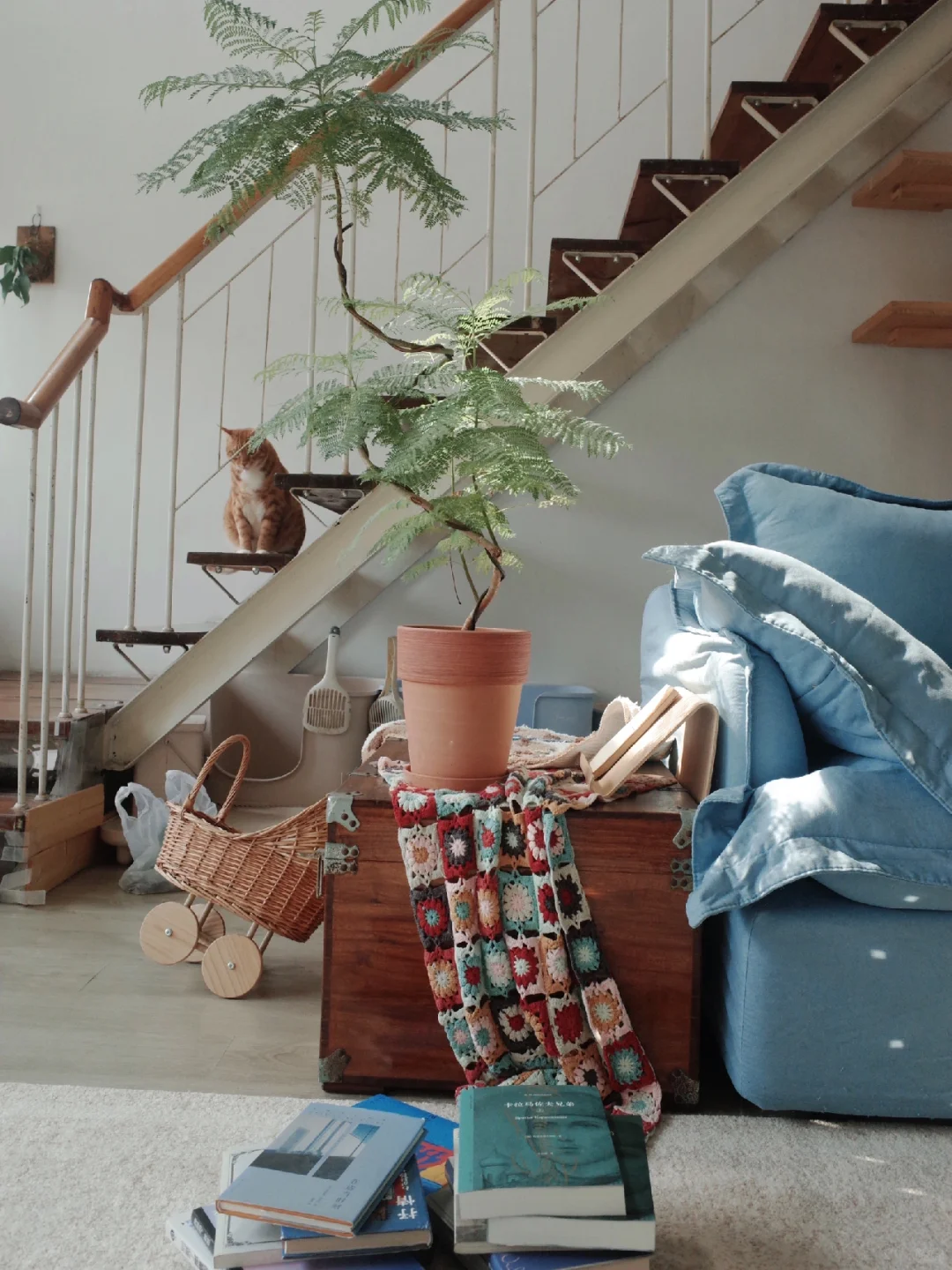 抓住秋天的每一缕光