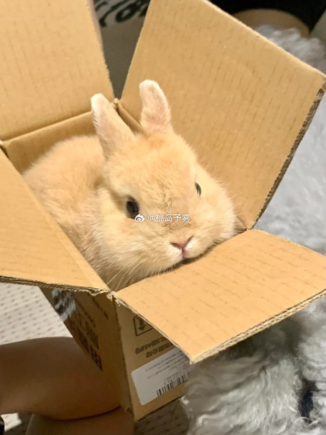 这大概是邵群最想收到的礼物 