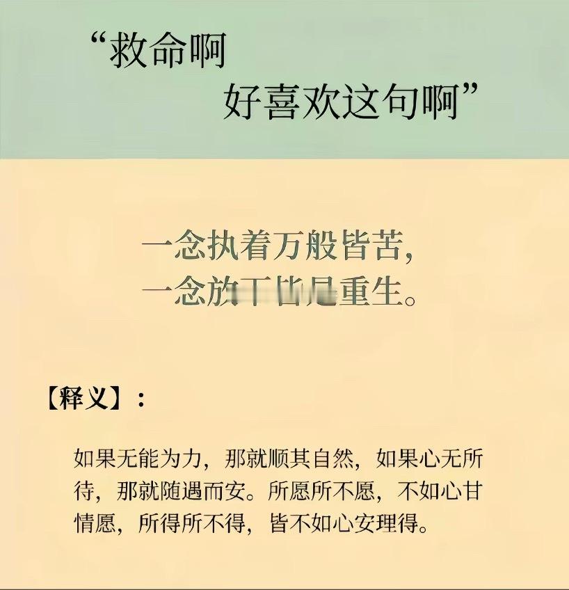 一念执着万般都有味 青葱岁月   一念放下百般都无趣我的日常plog