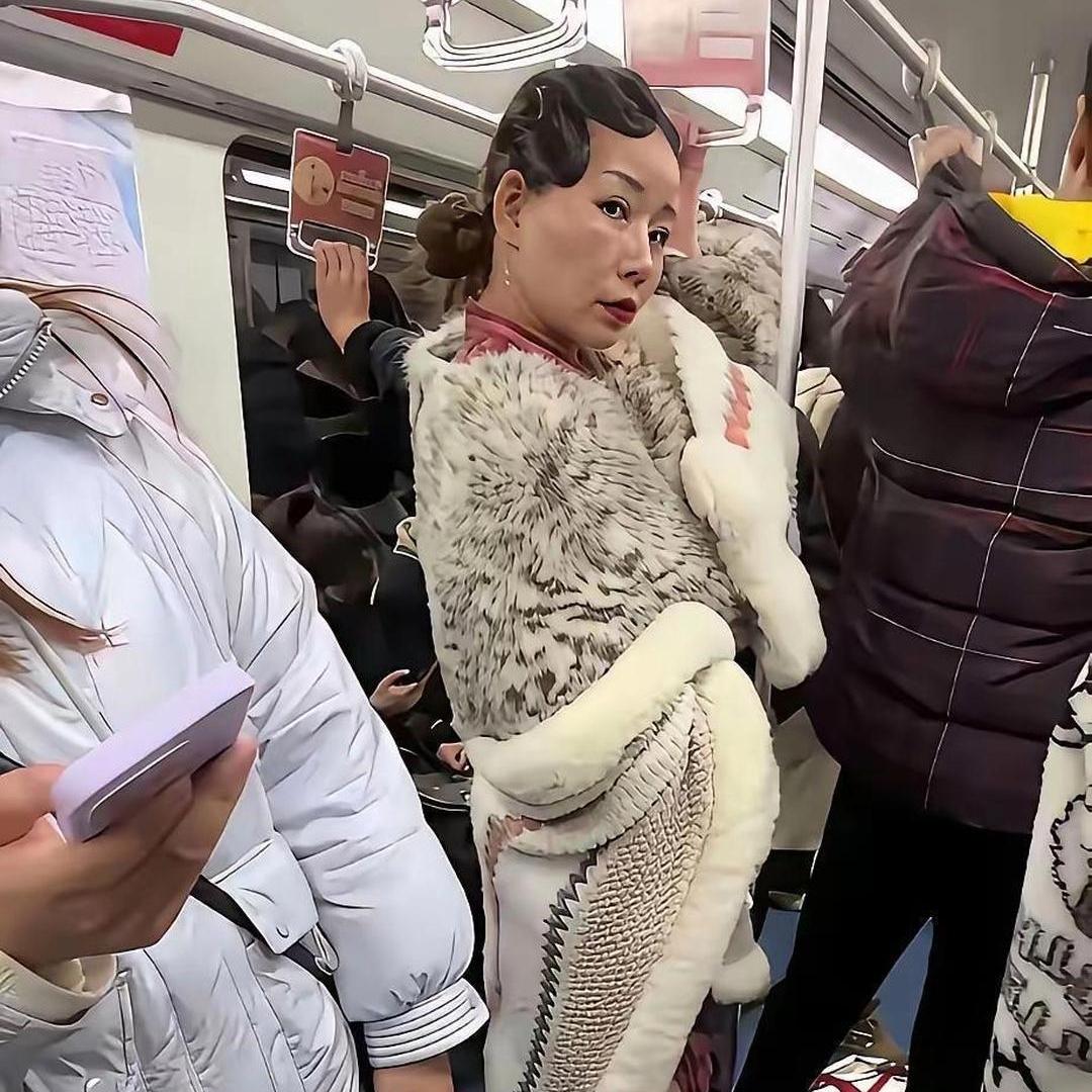 地铁一身华贵皮草出场，精致反倒变得格格不入
 
地铁里偶遇一位打扮十分华贵的女士