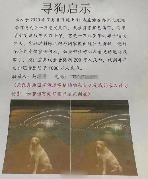 #悬赏1000万找的狗找到了# 丢狗又丢人！丢狗是真，1000万悬赏是假，狗被人