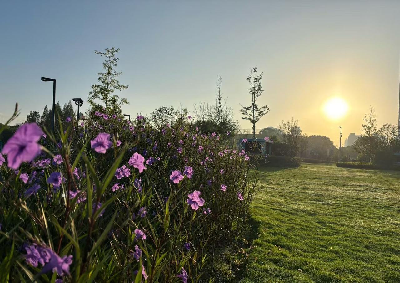 秋日迟迟

蝉鸣还粘在窗帘上
阳光依然烫人
夏天签下的契约
被秋风延期执行

树