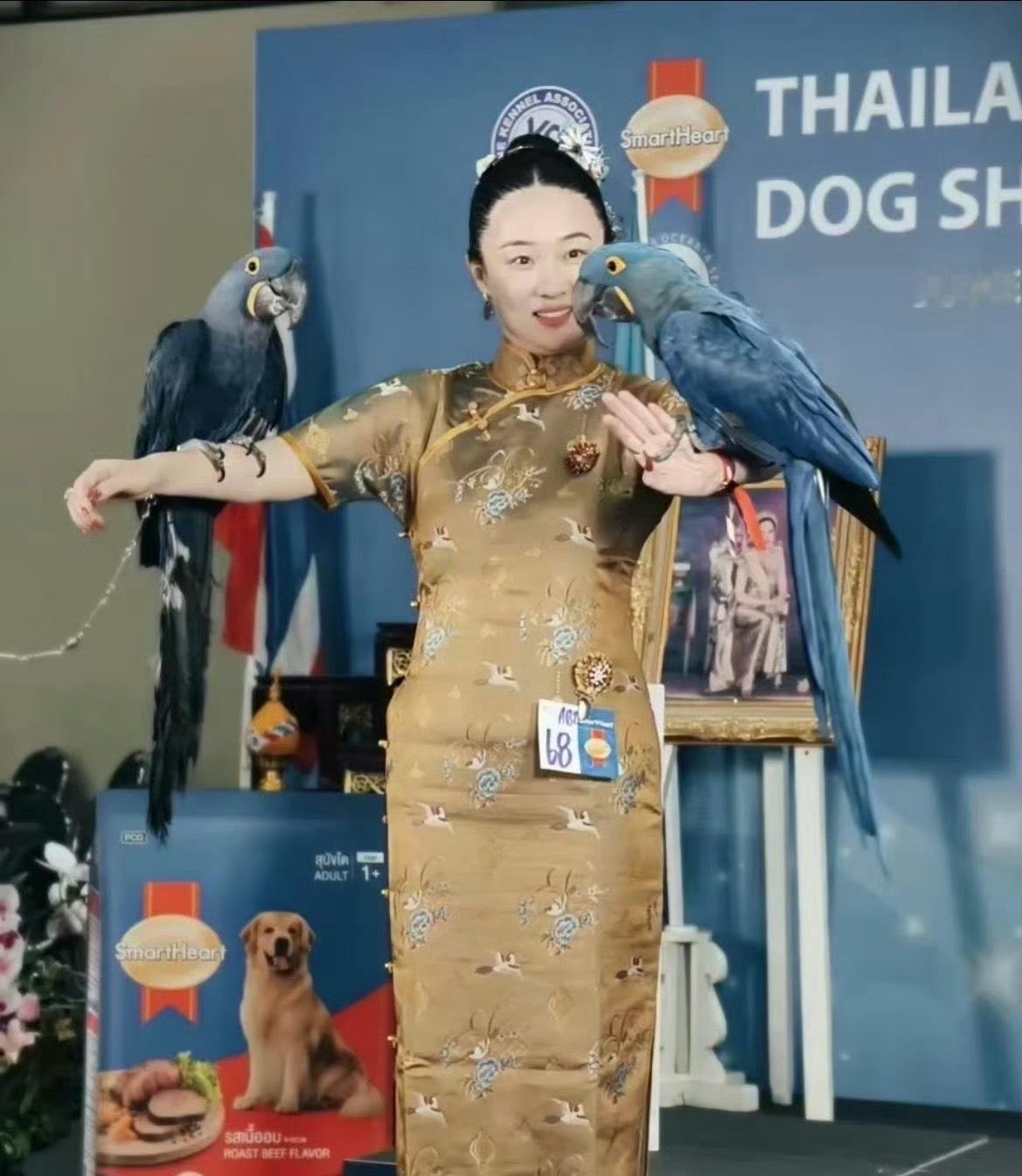 霍思燕家的鸟又夺冠了说实话看到她凌晨四五点起来训练那段我愣住了，原以为就是个富太