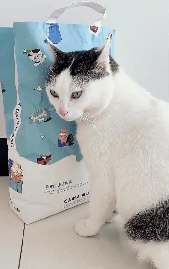因为猫砂被猫翻白眼了