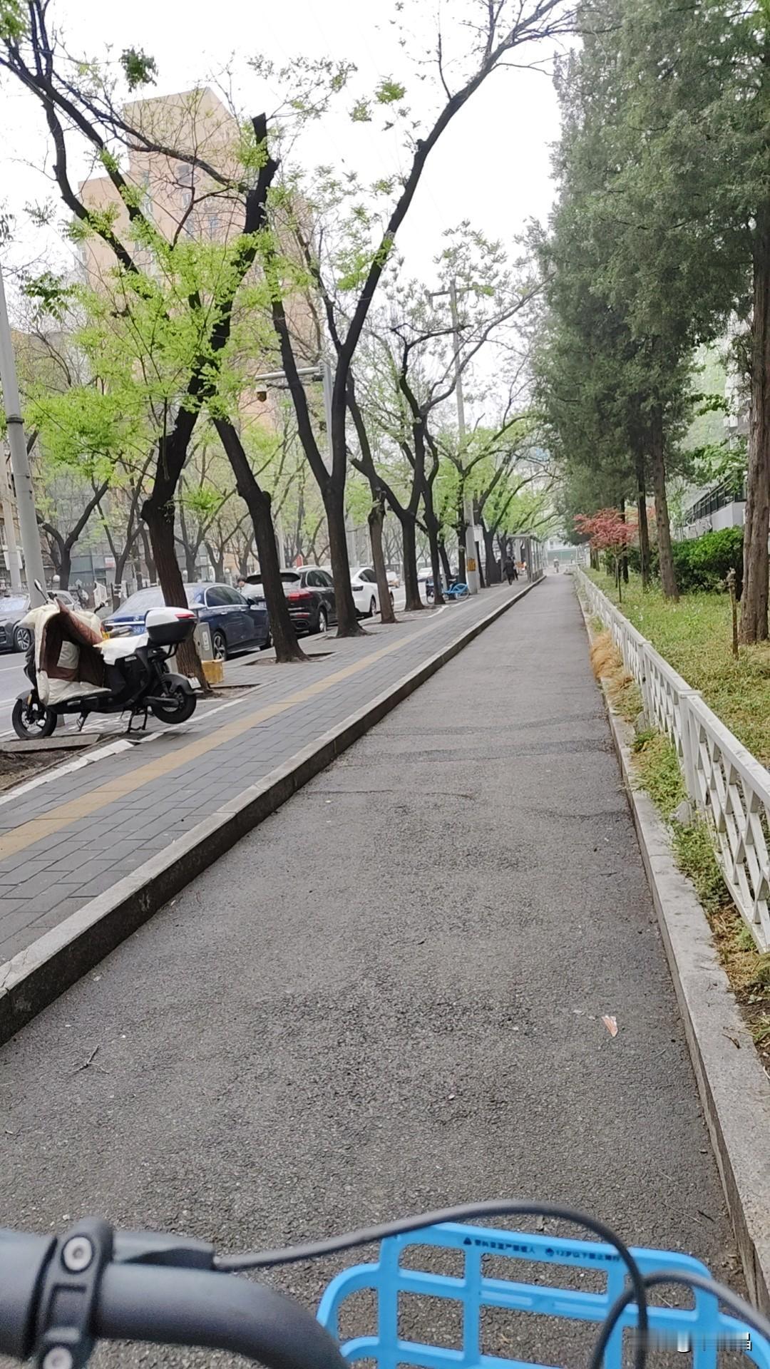 今天发照片给住外地的闺蜜小平看，她说:你照的这图片显得这回这个北京好清新啊，就是