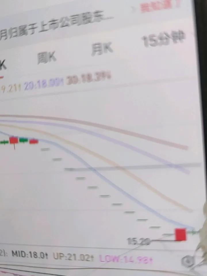 ST闻泰之殇，完全是荷兰政府造的孽。
这次荷兰代表团来干嘛？
主要是不想放弃中国