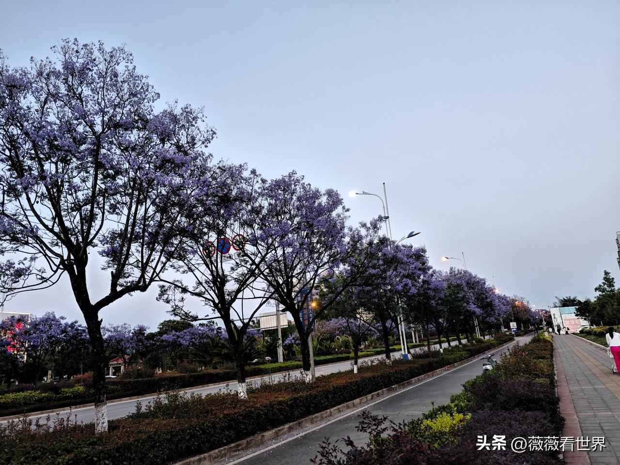 分享随手拍的景色