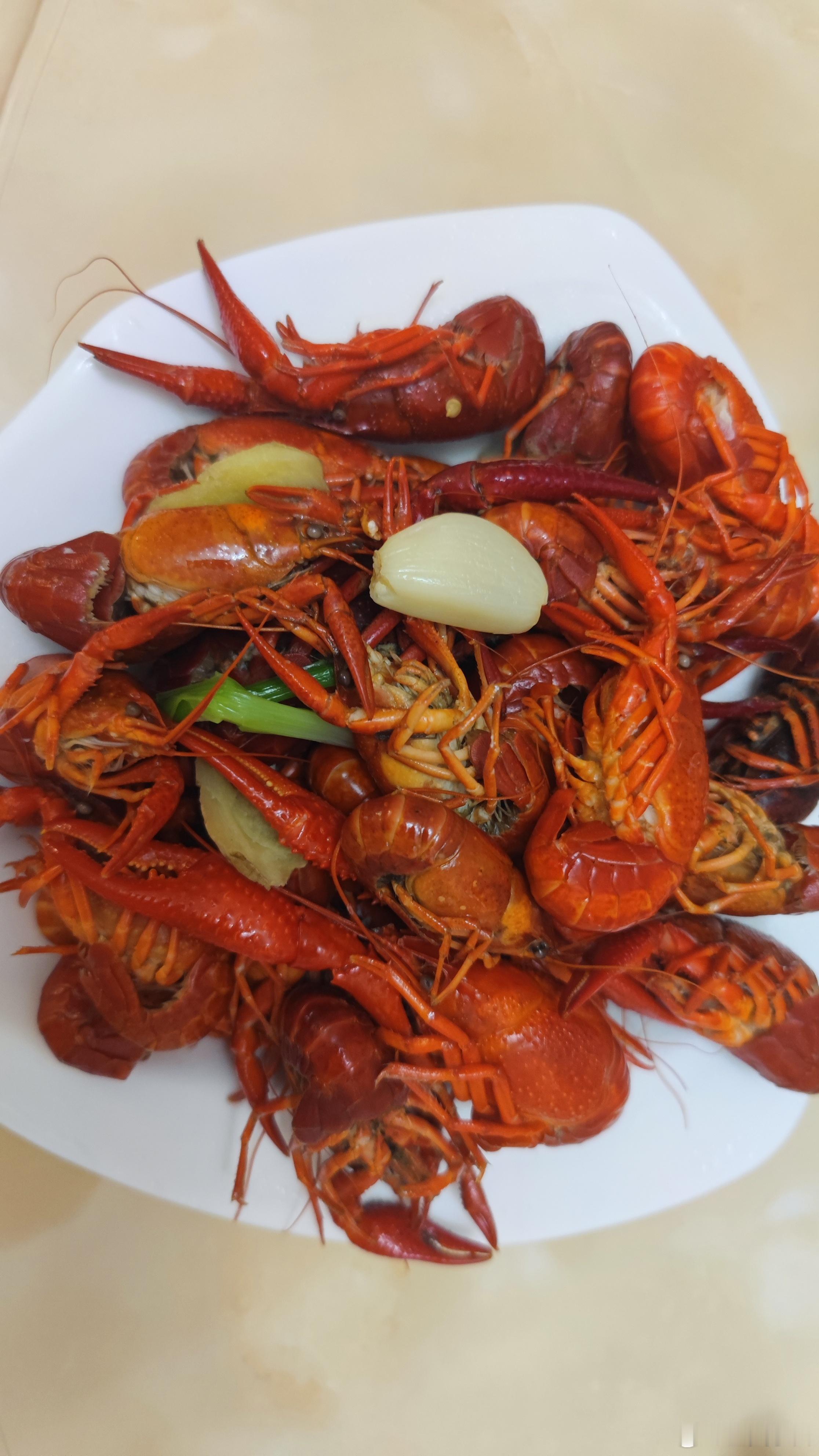 周末细雨绵绵的钓个小龙虾。这年头龙虾🦞也是越来越精了，没个网兜还真钓不上来。收