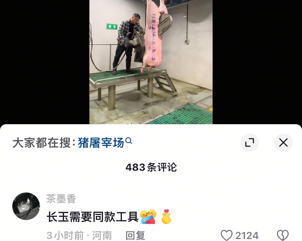 一个猪屠宰场的🫘下面 不出意外也有逐玉的兵逐玉