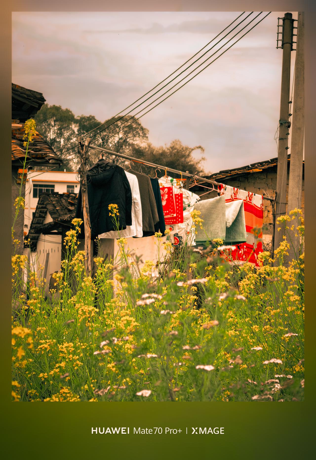 华为Mate70 Pro+ XMAGE影像太绝了！这张乡村场景拍得好有电影感，黄