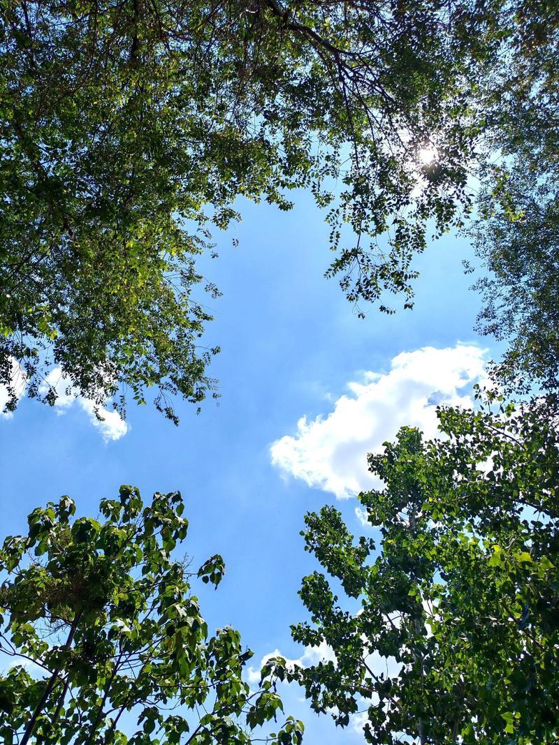 蓝天下，心情真的很好了