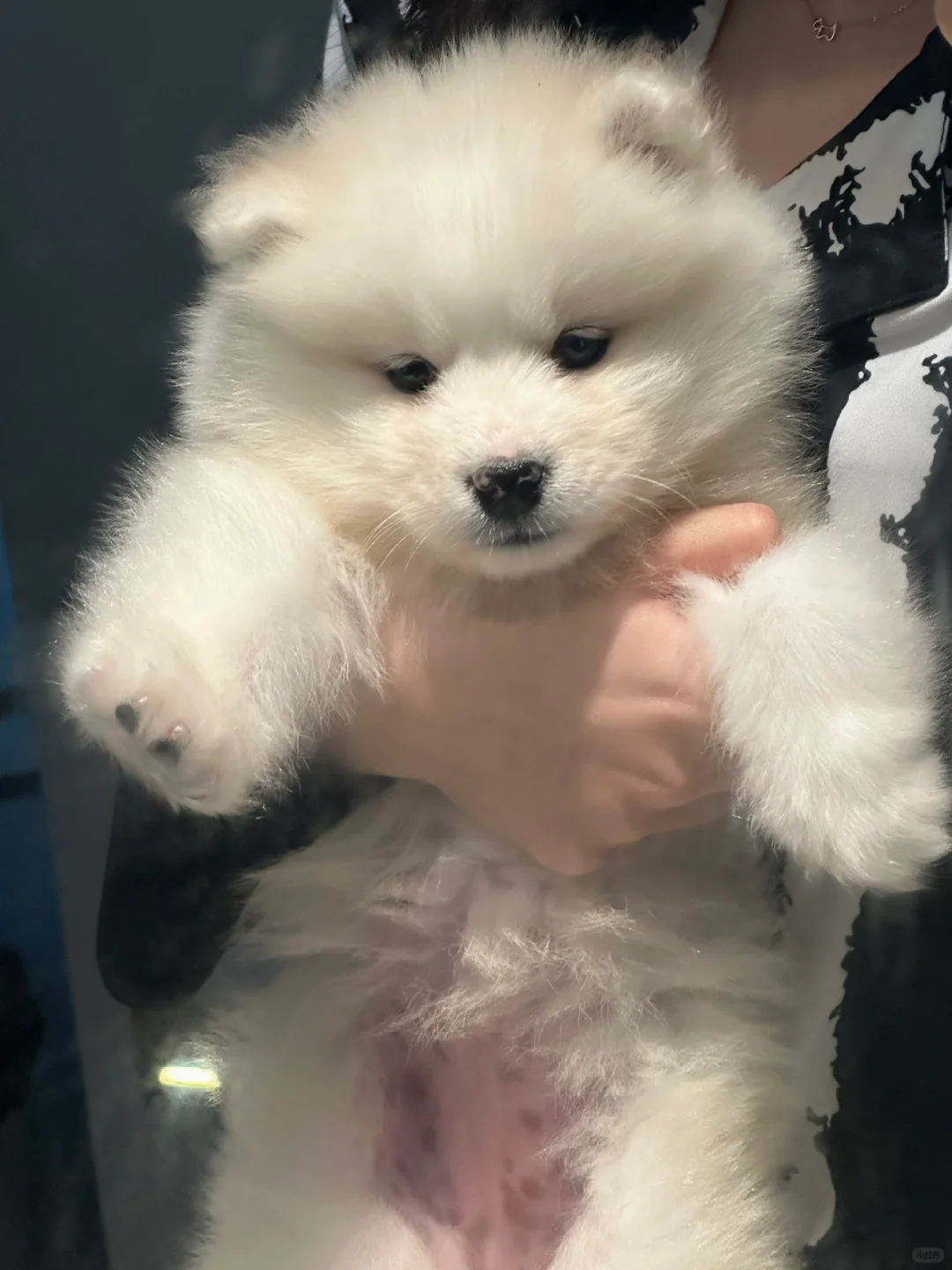 比耶耶更可爱的是小耶耶！