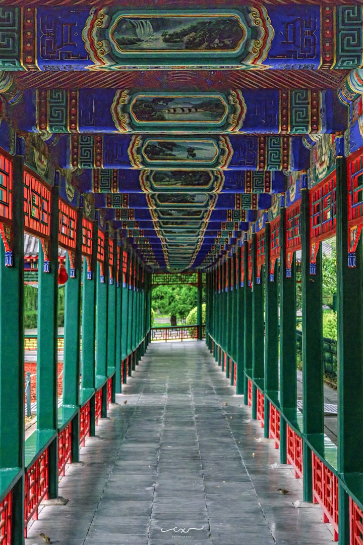 红墙承雨，古柏生凉。📍北京中山公園📸 2026-08-28摄影北京你好[超话