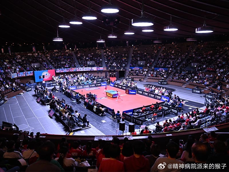 【桌球王国】本周六T联赛季后赛半决赛！3月21日出场阵容公布『野岛T联赛2025