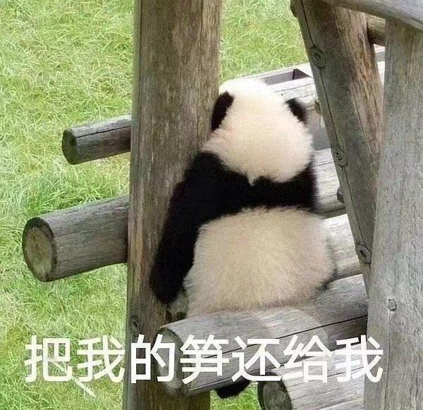 【你们这些冒牌货，太“笋”了！】有许多食材虽然顶着“笋”的名号，却不是真的笋。比