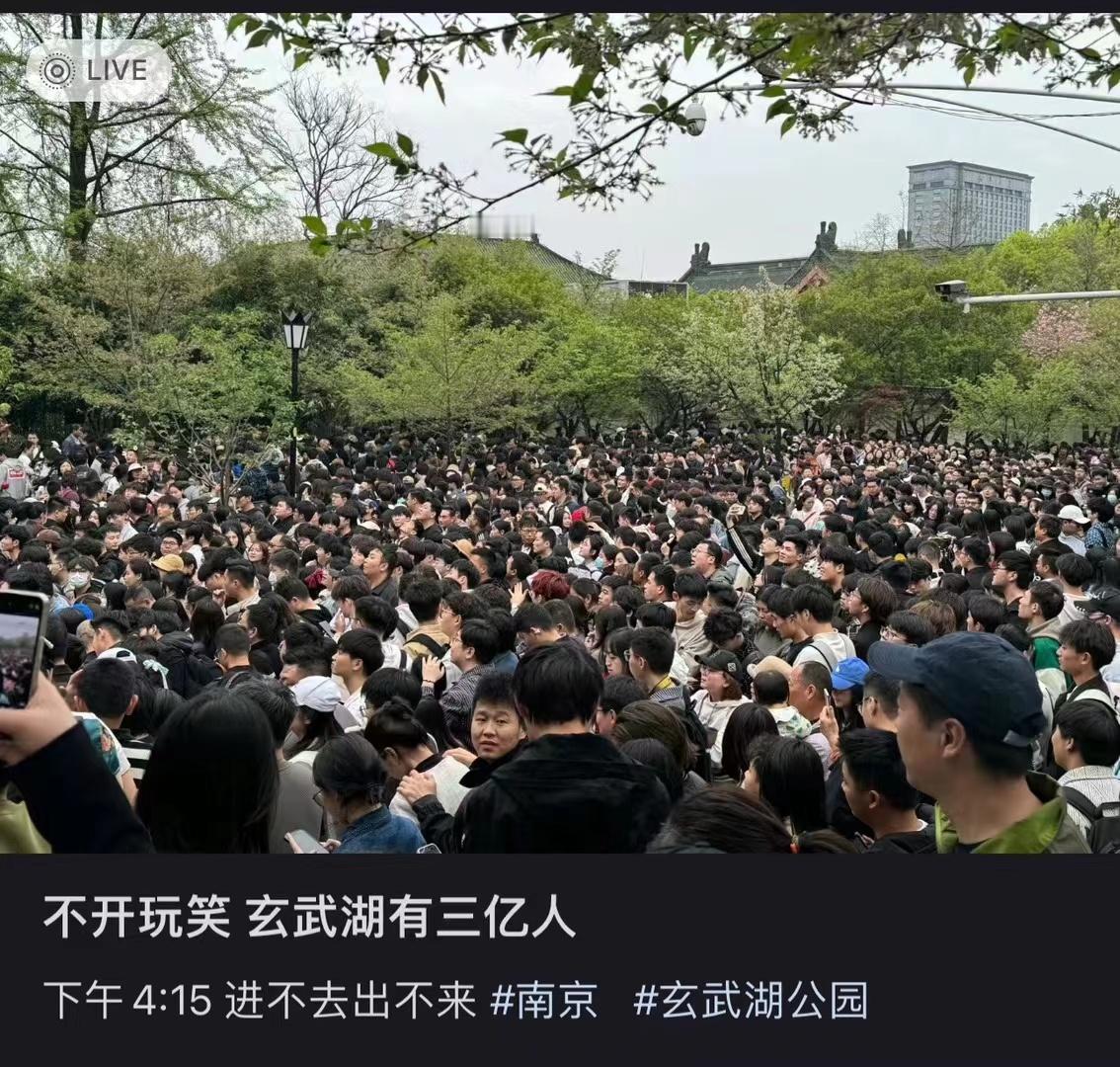 我长这么大第一次见玄武湖这么多人 ​​​
