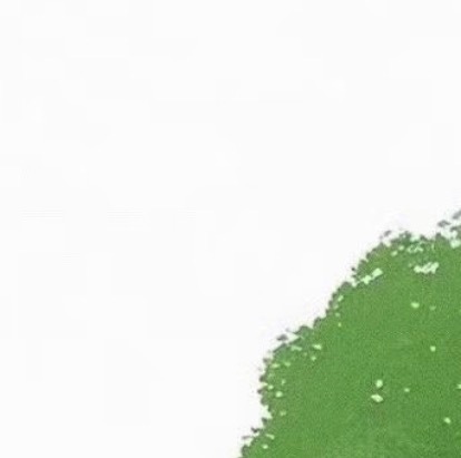 每日一善 ❤️阳光信用 世界很美好，阳光会照到每一个角落，包括你此刻躲藏的那个。