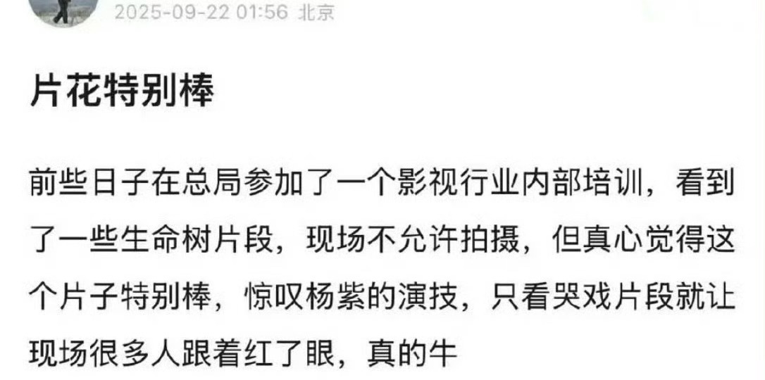 杨紫生命树片花repo ​​​