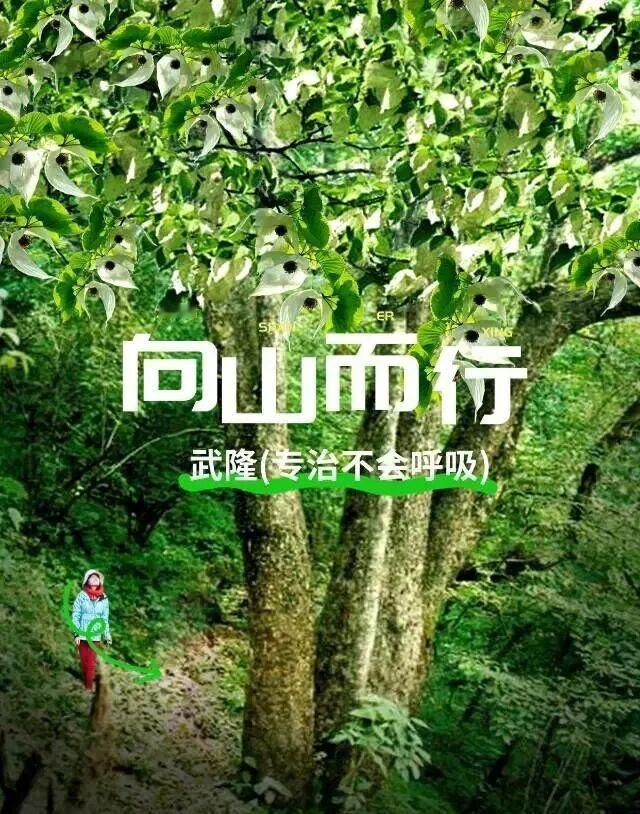 【武隆：专治“不会呼吸”！】
逃离城市窒息感
重庆1.5h直达「神仙氧仓」
3口