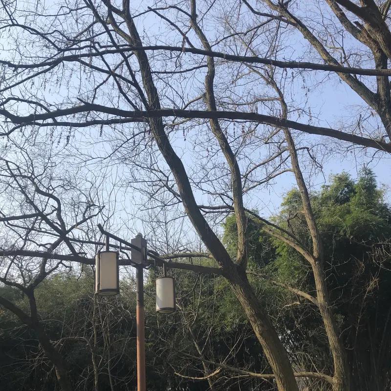 生命的本质是什么？我觉得它是关系的联结，也是生活态度的映射。
我们不是孤立的个体