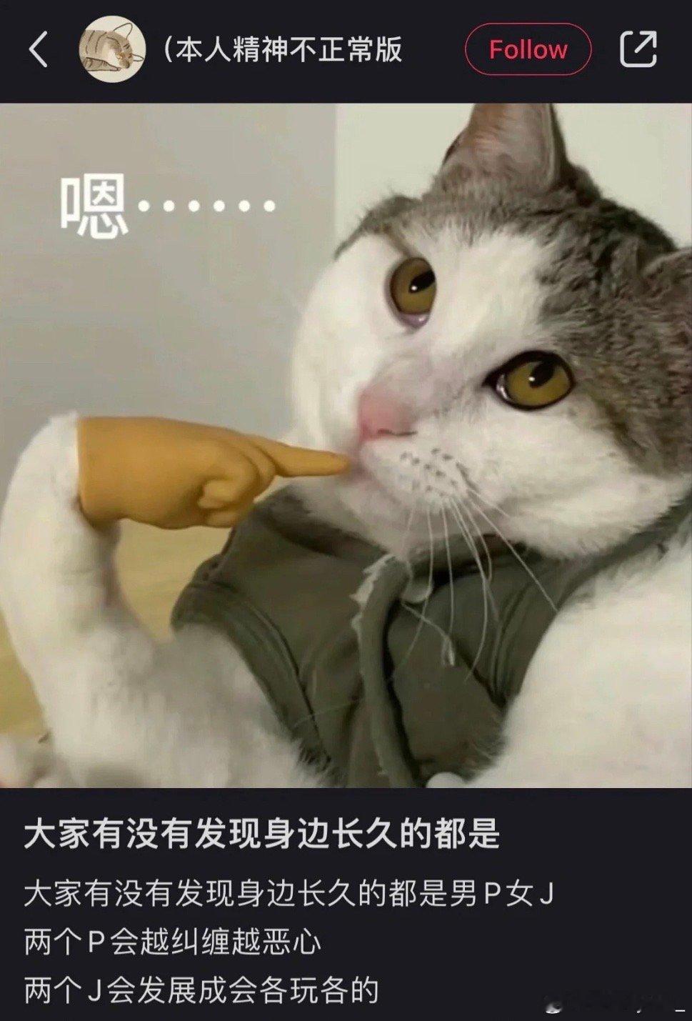 #男P女J的恋爱更长久#淡淡的vs颠颠的，一边相爱一边互补 ​​​