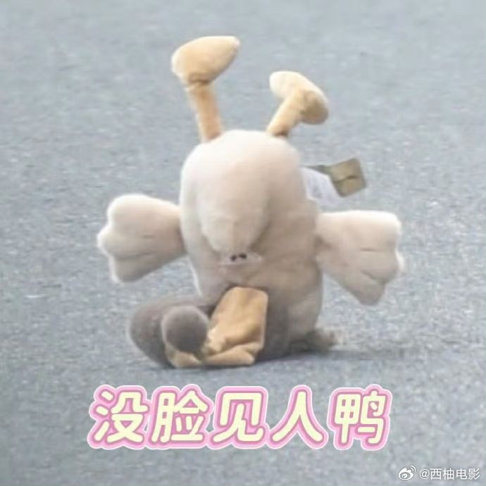 虞书欣伴手礼真送了忘了鸭书欣也太会玩了！剧宣伴手礼直接送忘了鸭，还有小卡、毯子、
