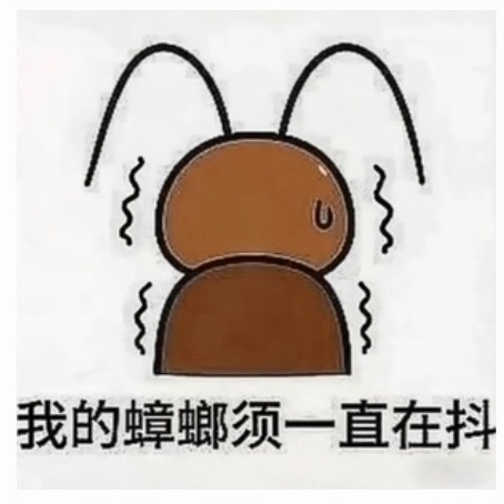 我克服不了我的本相 
