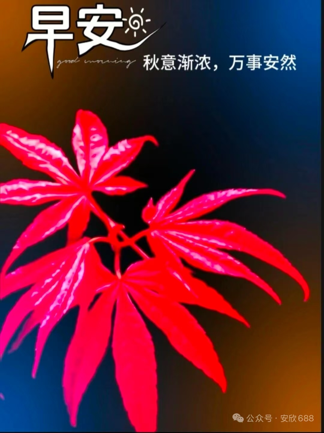 分享图片 ​​​