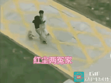两口子牵着小狗慢悠悠逛公园，本来是散心的好事，聊着聊着话不投机吵了起来。男的火气