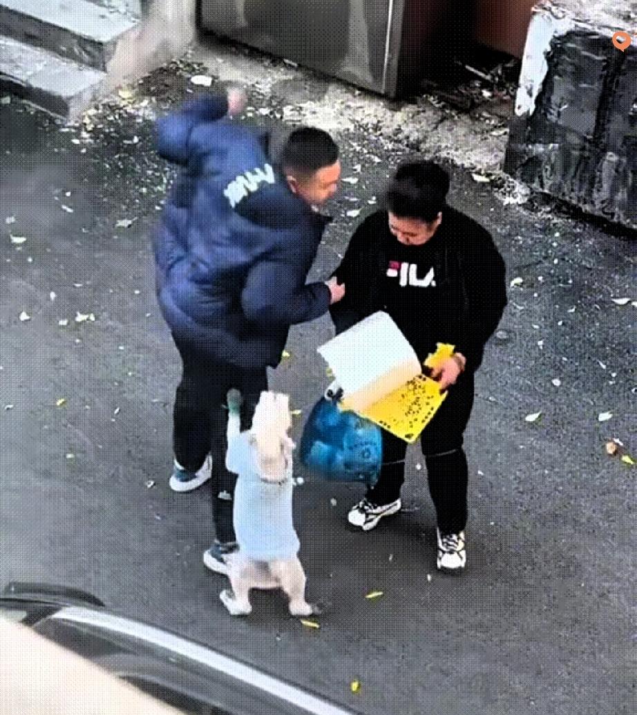 这事儿看完真的让人心里堵得慌！牵狗女子和男子争执拉扯，男子抬手就打了女子一巴掌。