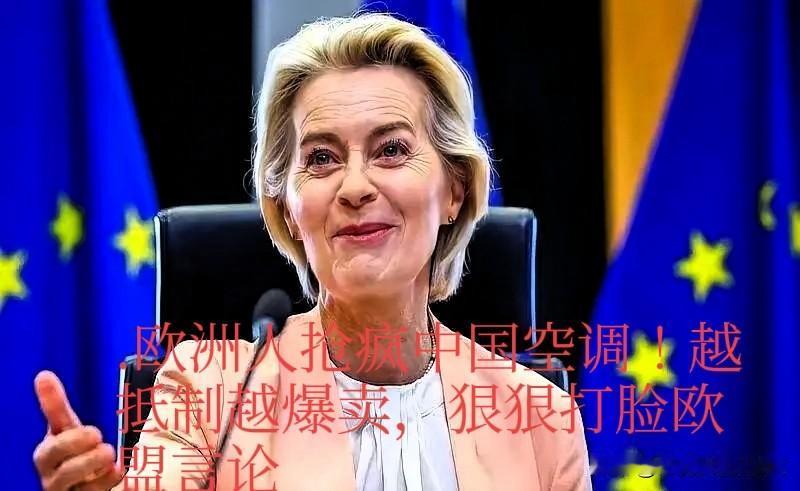 奇怪了！在抵制中，中国空调横扫欧洲，数据彻底颠覆欧盟认知


今年夏天欧洲高温肆