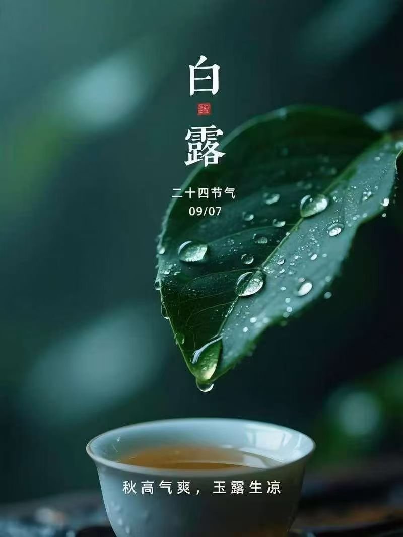 白露凝秋：一滴诗意的栖居     今日白露。“露从今夜白，秋风至此凉。”杜甫的沉