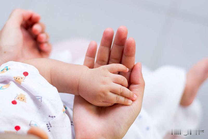 网友：老而不死是为贼

妙华严：说这话的人，信奉这句话的人，是粪坑里刨出来石头缝