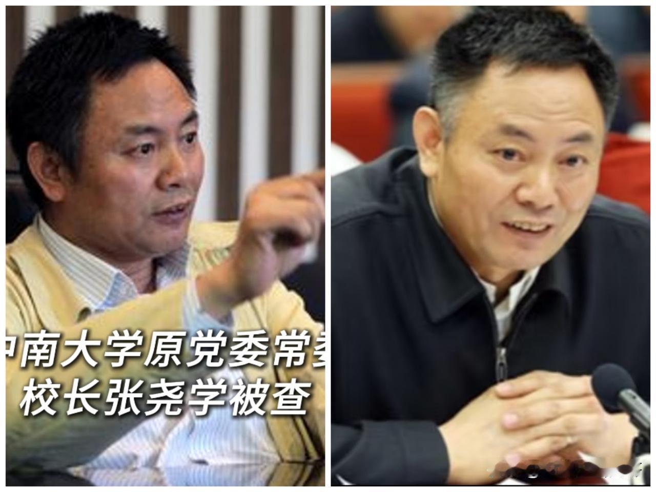 
赶快看，
赶快看！
中南大学原校长张尧学涉嫌违纪被查。

张尧学在1999年