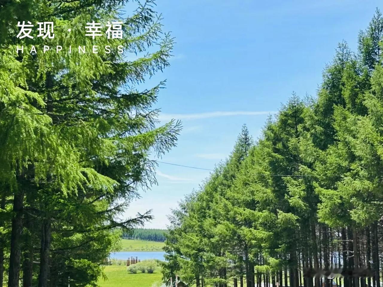 永远相信美好的事情即将发生！
你们信吗？
北方的夏天是真的凉快啊！
彻底爱上北方