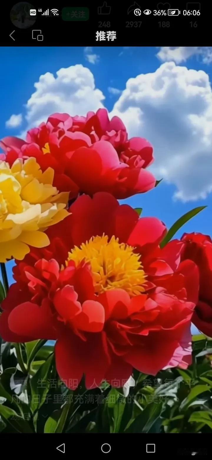 照顾好自己，这个世界才会属于你。
风雨由天，快乐由咱自己，
只要你保持微笑面对生