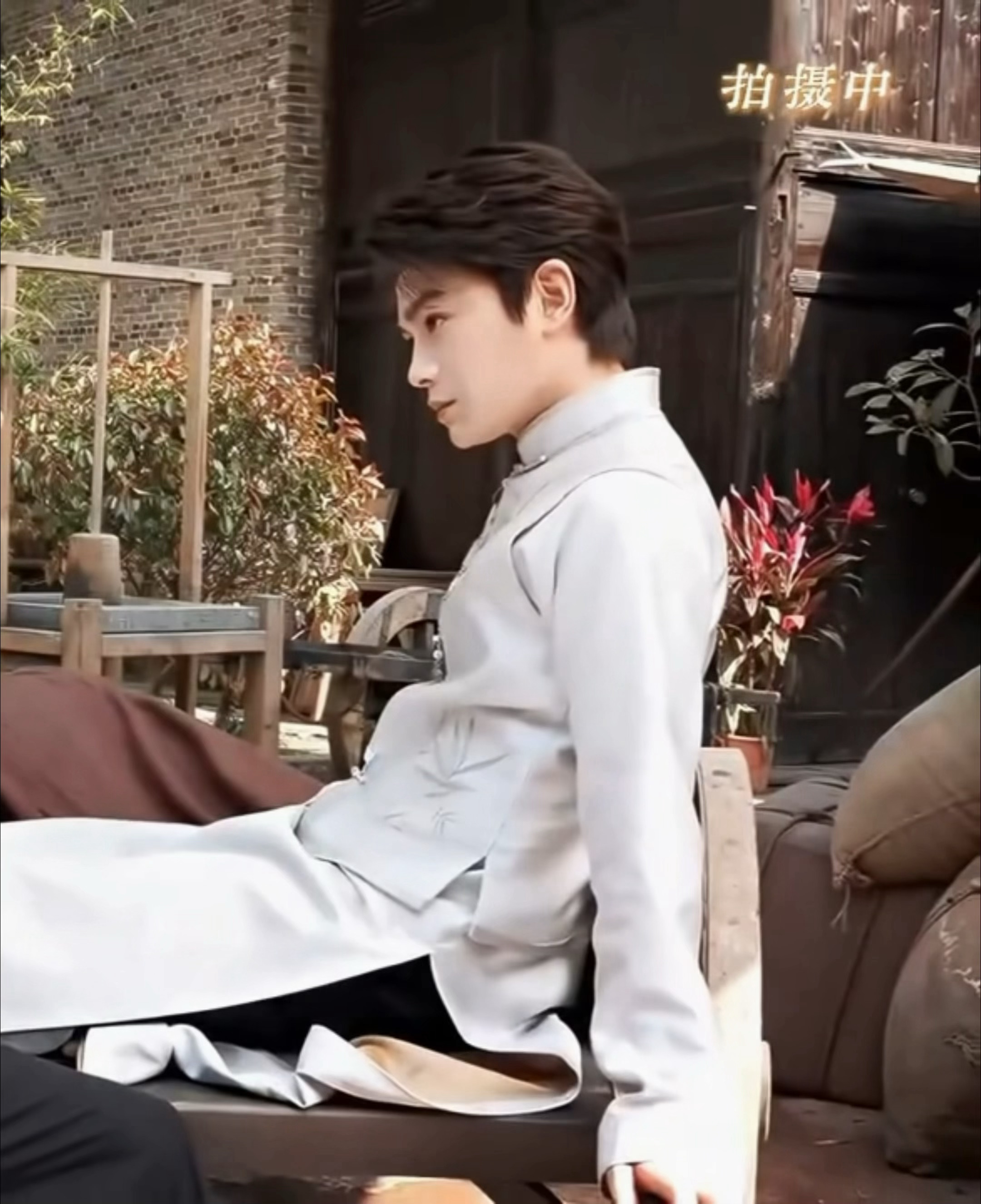 小玉兰碎片 
