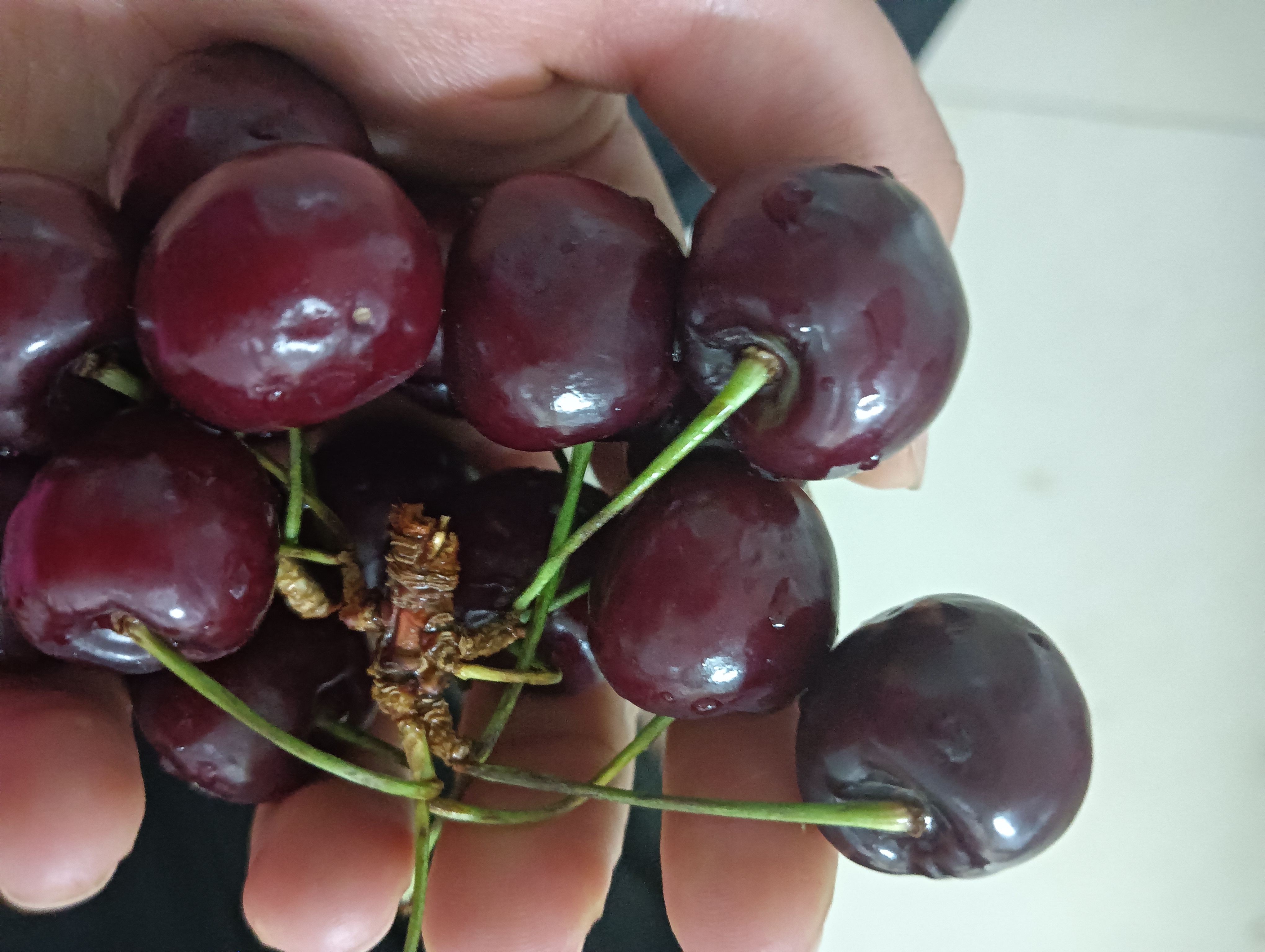 这樱桃真好吃😋酸酸甜甜的