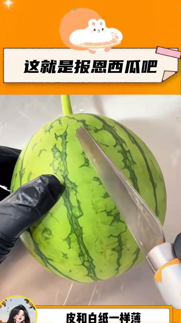 这就是报恩西瓜吧。
轻轻一碰就破的西瓜皮和白纸一样薄，怎么才可以买到这种绝世西瓜