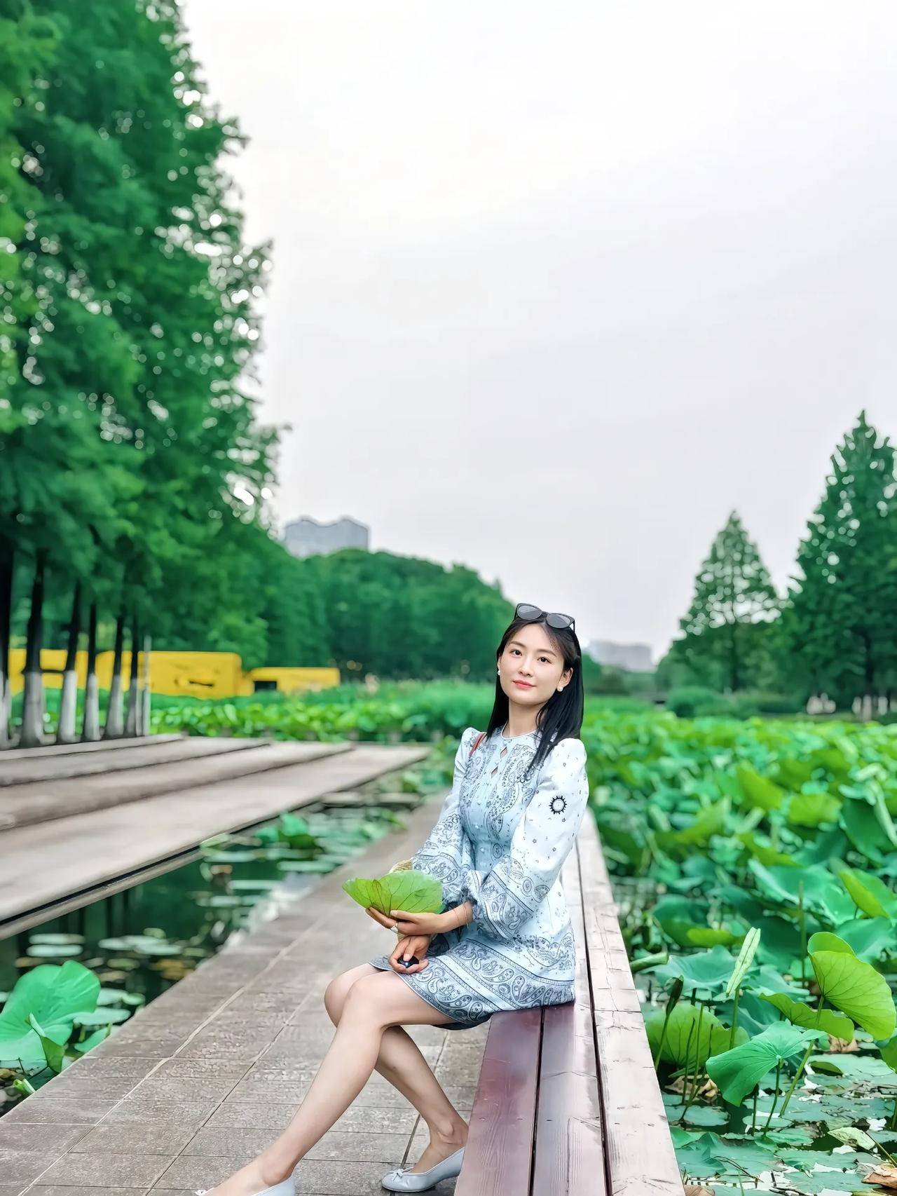 夏日荷塘，绿意盎然，静坐欣赏，悠然自得。