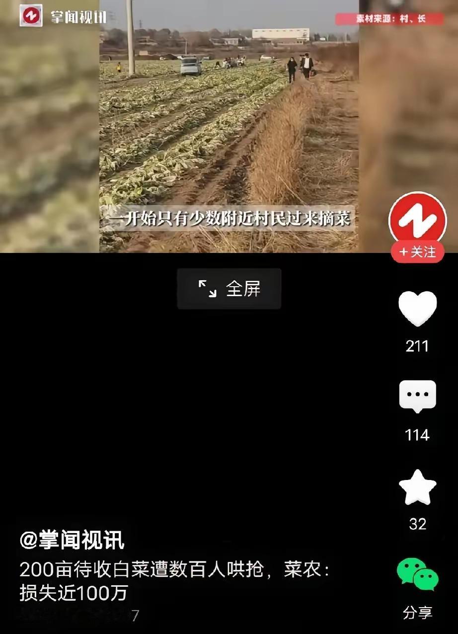 这个案件反映了网络虚假信息、公共秩序维护和法律责任的复杂关系，也提醒我们在网络时