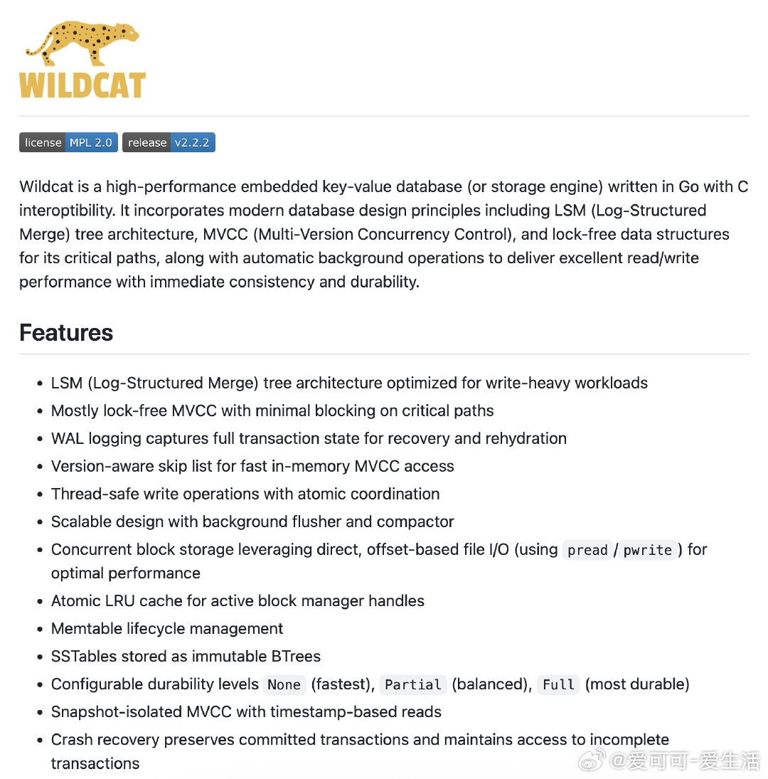 【[115星]Wildcat：高性能嵌入式键值数据库，为高并发和事务性存储提供极