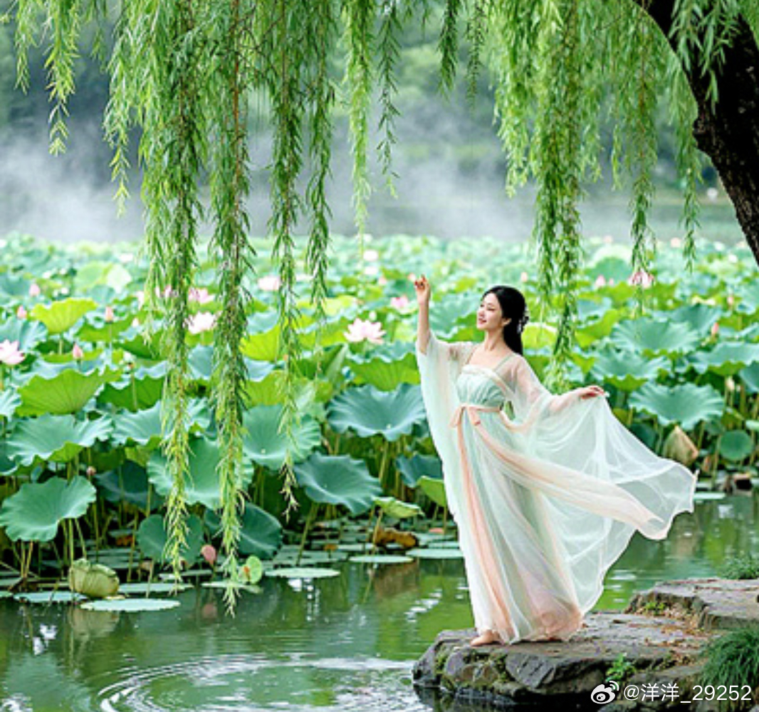 洋洋高锐·有时渴望一段露水情缘◎来到这……夏风凉了几分夏梦……还在荷花徘徊◎人有