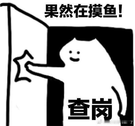 《查岗 果然在摸鱼》 ​​​
