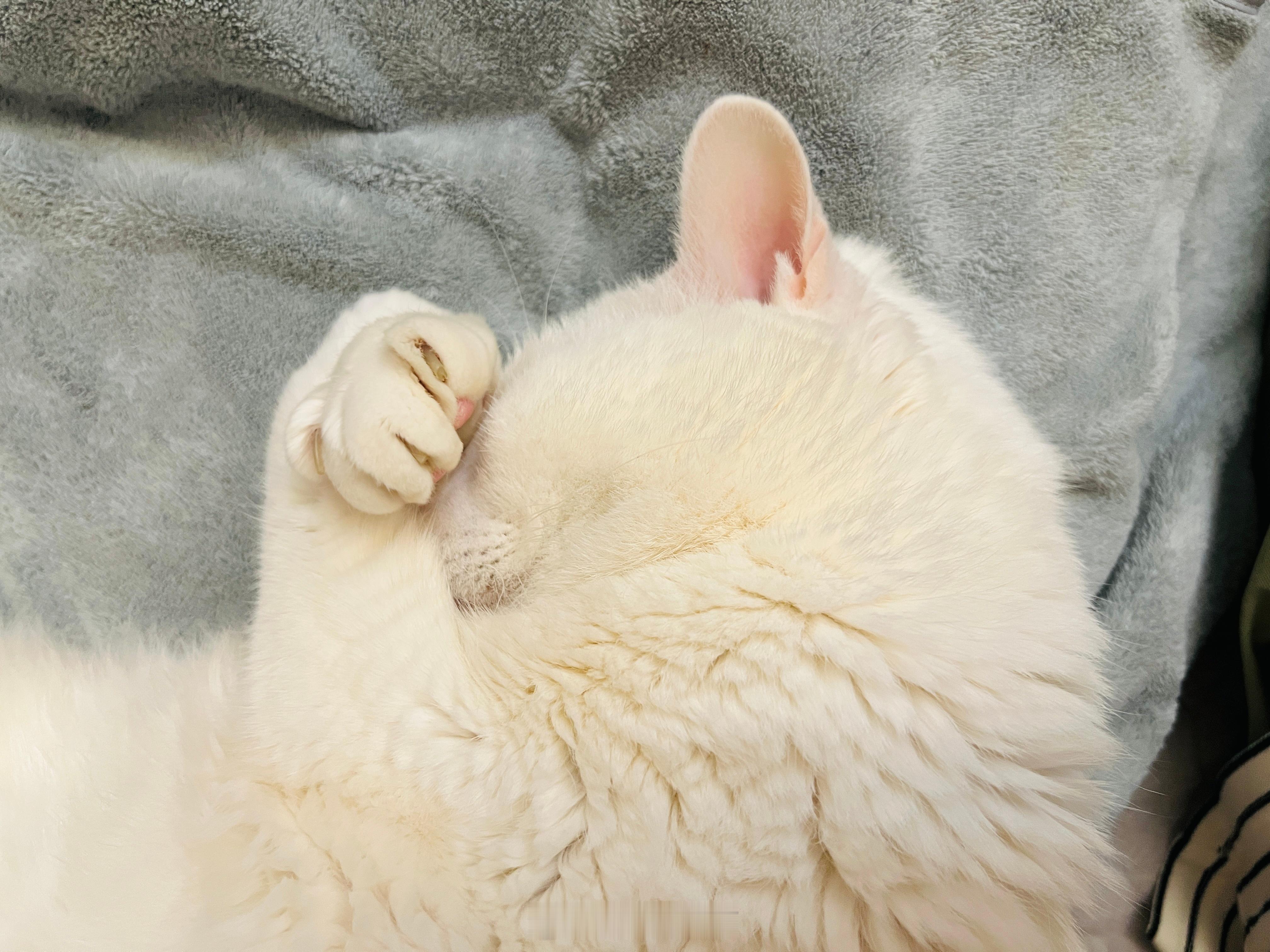 真香🍡😤 ​​​