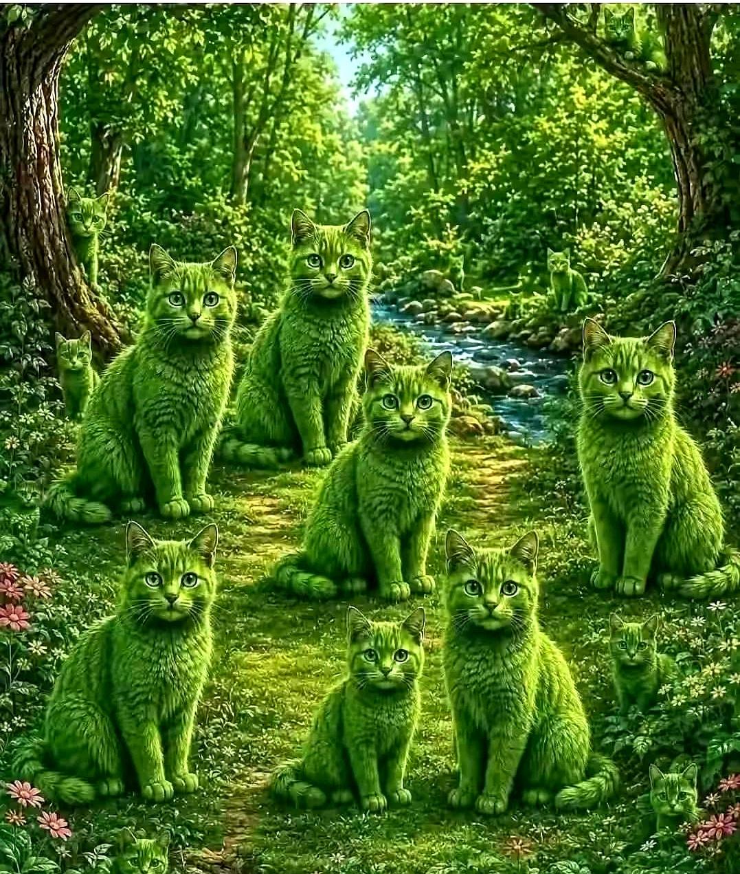 五秒钟的猫图，能看见几只，就敢给眼睛打个“分”：有人只找出8只，日常看物就有些糊