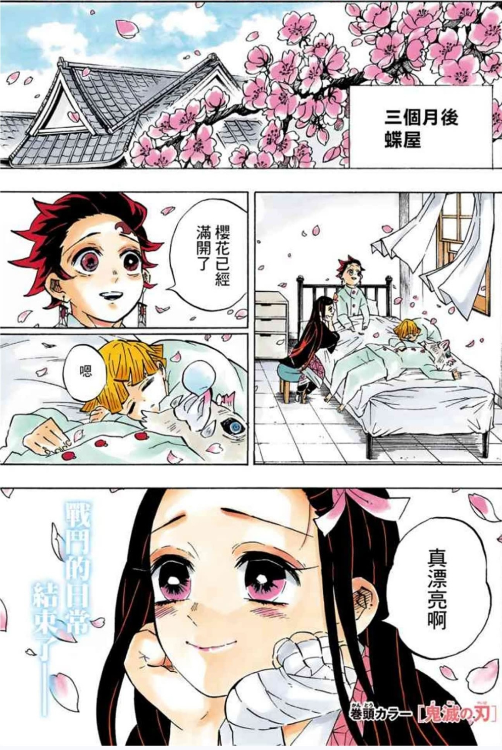 鬼灭之刃 无限城决战后的三个月 